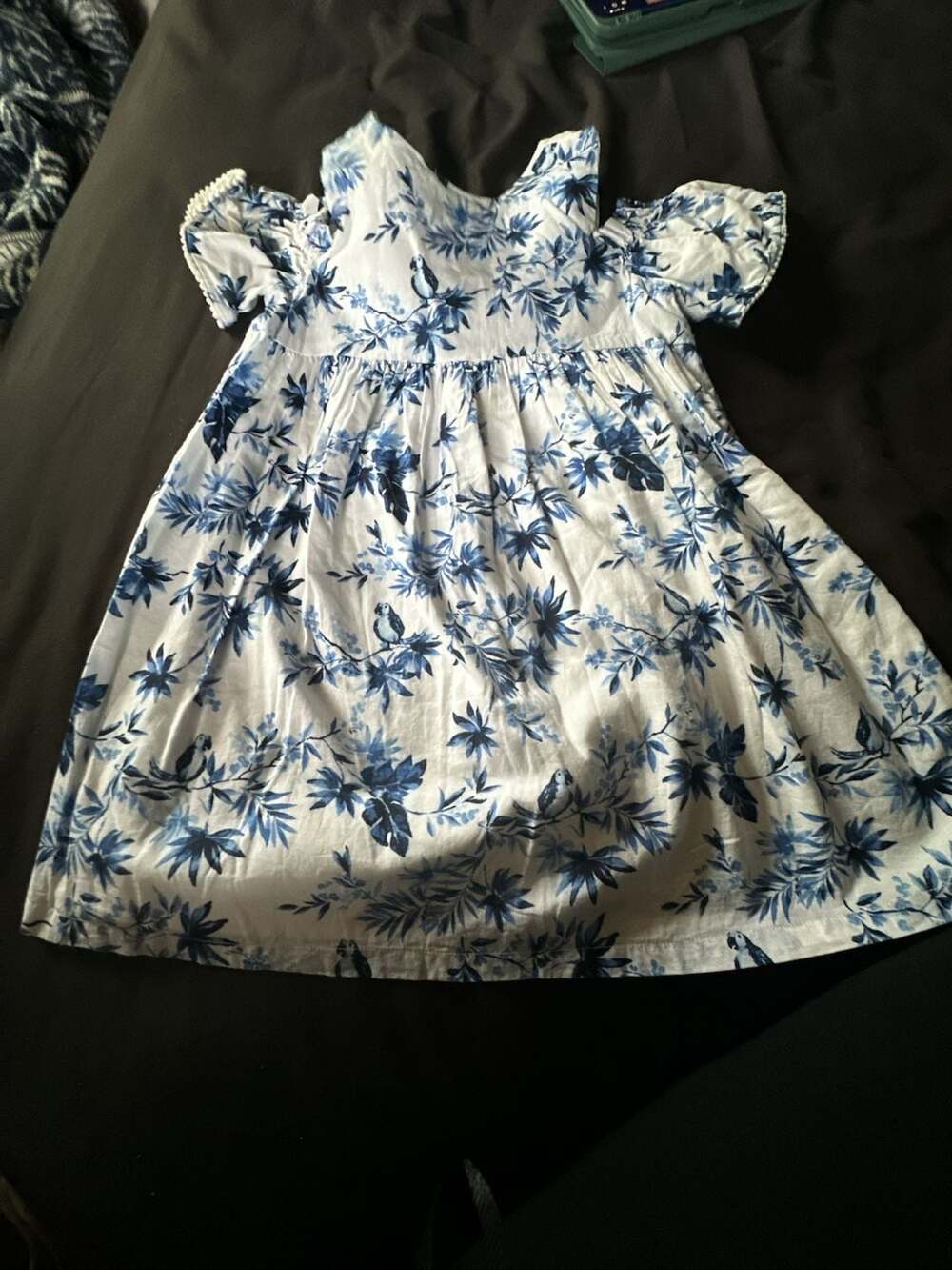 Janie and Jack Blue Floral Bird Dress Size 5